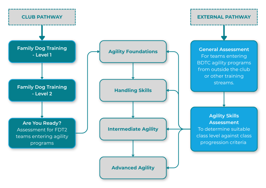 bdtc agility entry pathways (1)