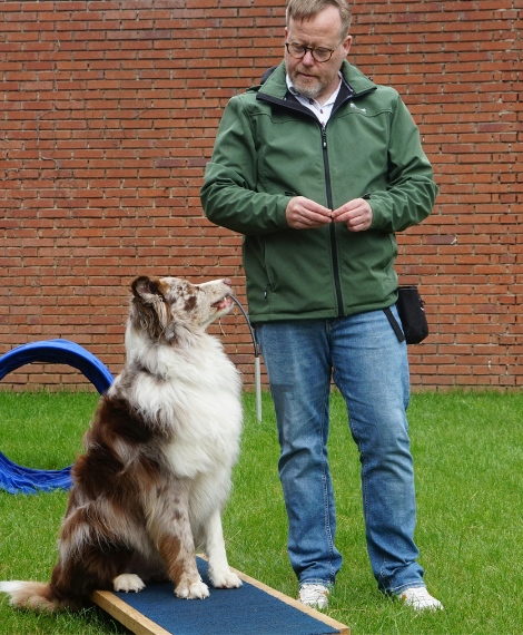 bdtc agility skills