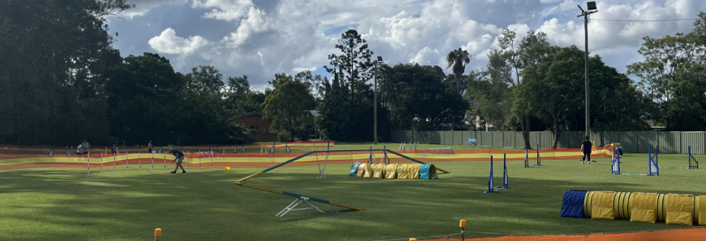 bdtc agility trial