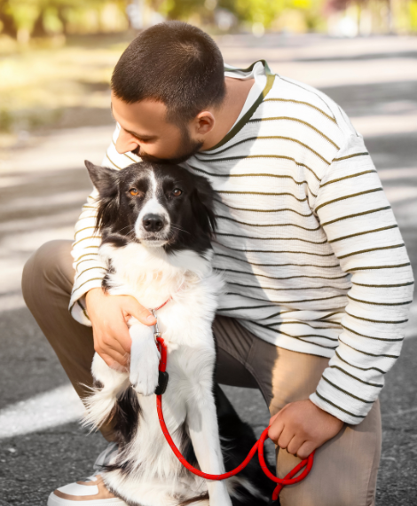 bdtc dog & owner