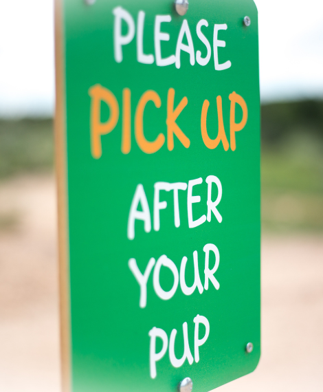 bdtc pick up after your pup