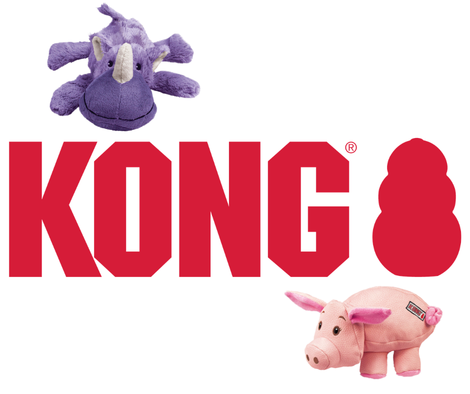 kong sponsor