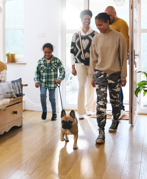 bdtc family dog training